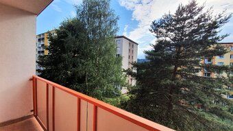 Hledám dlouhodobou nájemnici/níka světlého, prostorného bytu