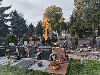 Urnové místo přenechám Řečkovice Měl jsem to pro rodiče ale 