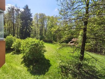 Nabízíme k pronájmu pokoj ve sdíleném bytě v Třinci na ulici
