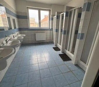 Dražba průmyslového areálu s výrobními a skladovacími halami