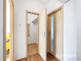 Nabízíme k dlouhodobému podnájmu útulný a světlý byt o dispo