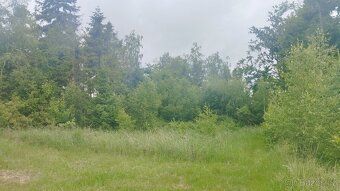 Prodám obytnou buňku s přístřeškem a 6000m2 lesa na vrcholu 