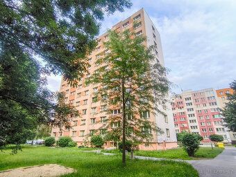 Nabízím k pronájmu útulný byt 1+1 o velikosti 36 m² na ulici