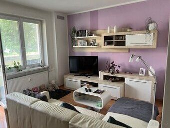 Nabízím k pronájmu útulný byt 1+1 o velikosti 36 m² na ulici