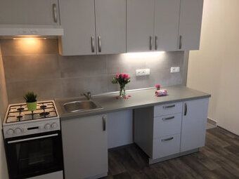 Nabízím k pronájmu útulný byt 1+1 o velikosti 36 m² na ulici