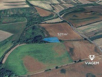 Prodám vinohrad o výměře 2541 m² + 112 m² ostatní plocha v k