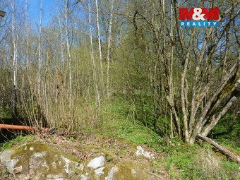 Běluň, Brzice, Kohoutov - vyhledávaná rekreační oblast nedal