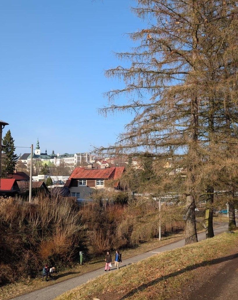 Nabízím Vám k prodeji rodinný dům s garáží o dispozici 5+1 s