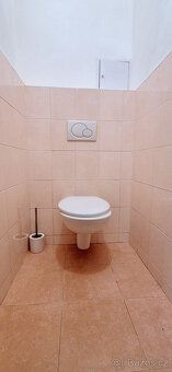 Nabízíme výhradně k pronájmu byt 2+1 s komorou o výměře 67m2