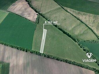 Prodej dvou pozemků - zajímavých pro zemědělce kvalitou půdy