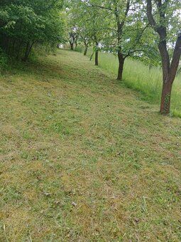 🌳 Prodej zahrady / sadu 1 872 m² – Soběchleby, okres Přerov 
