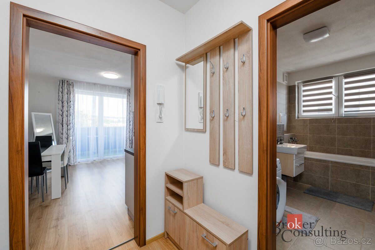 Pronájem, byty/1+kk, 40 m2, U Pondu 380, 33024 Heřmanova Huť
