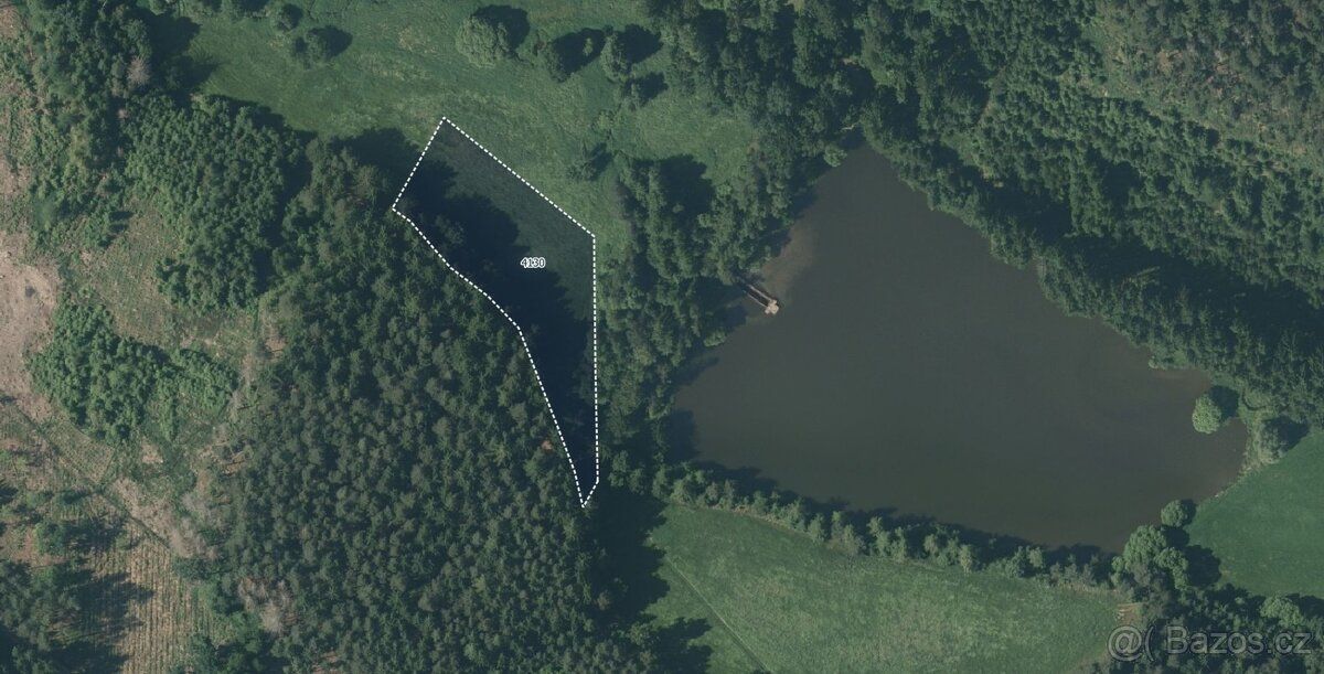 Na břehu rybníka Podhorník, v krajině plné zeleně a klidu, n