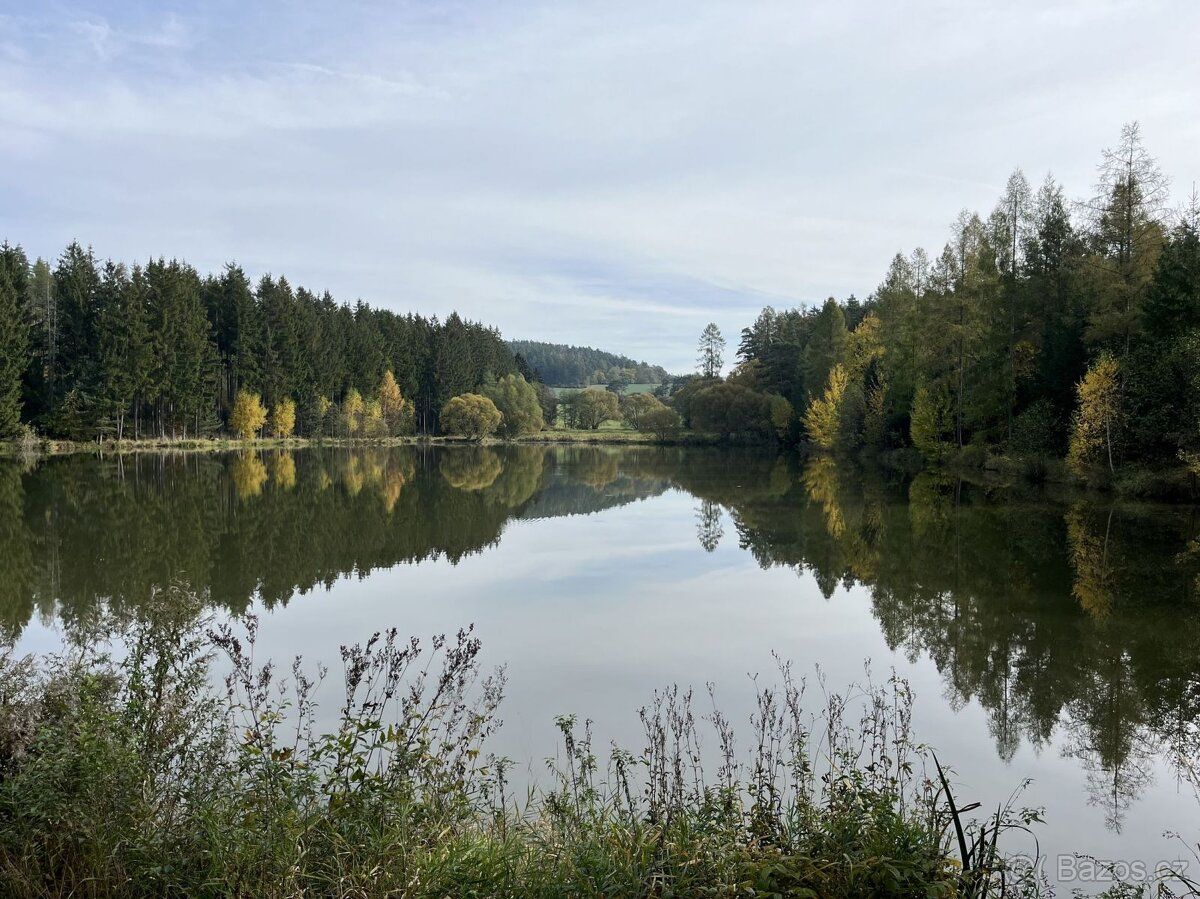 Na břehu rybníka Podhorník, v krajině plné zeleně a klidu, n