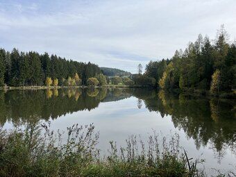 Na břehu rybníka Podhorník, v krajině plné zeleně a klidu, n
