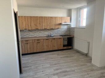 Prodám byt v OV v Teplicích Nové Vsi. 3+1(123m2).S vlastním 