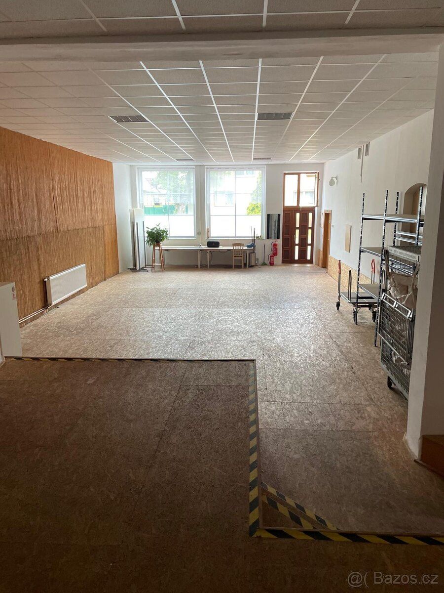 Nabizim k pronajmu prostor o rozloze 150m2 ideální pro uskla
