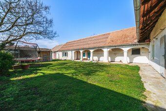 Ev.č. 00081 Jižní Morava, víno a klidný život. To vás tu ček