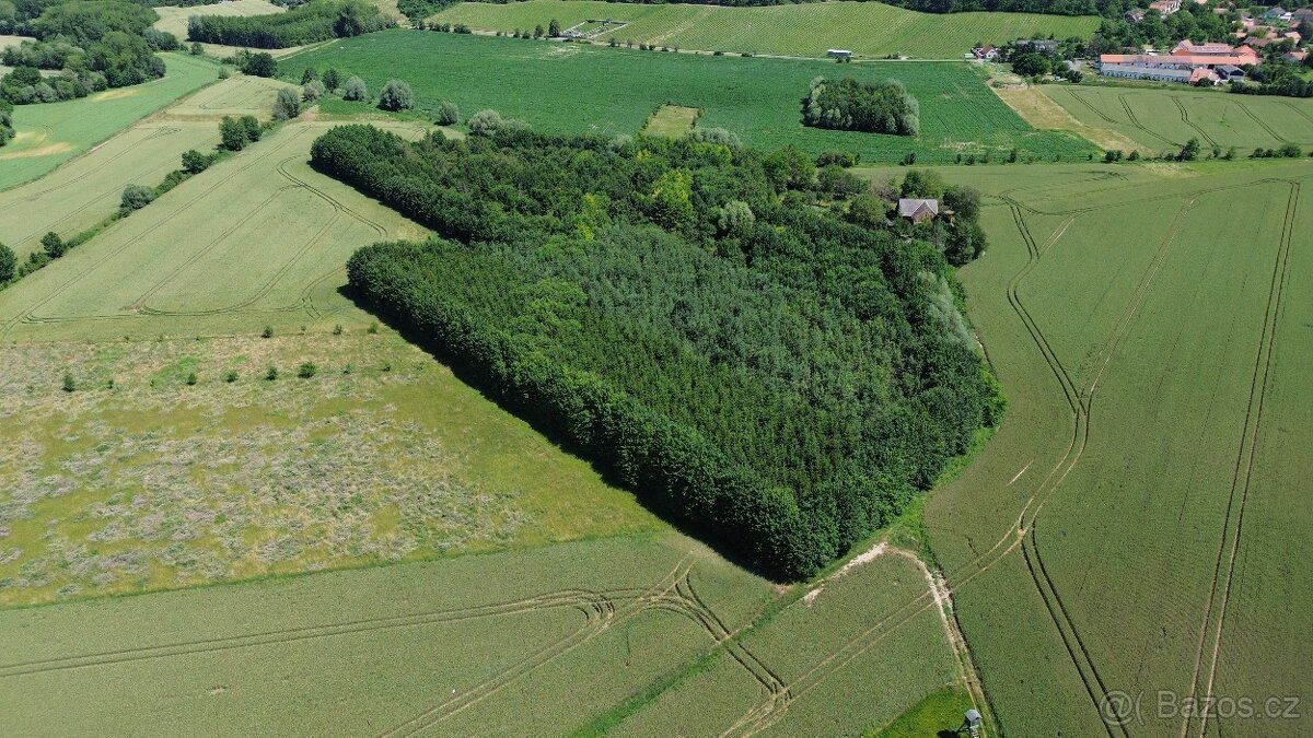 Nabízím k prodeji velký pozemek o celkové výměře 9 186 m² v 