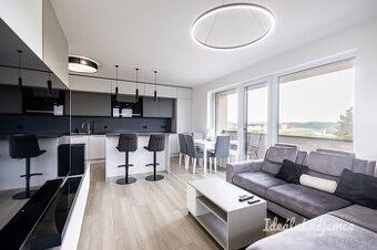 Nabízíme k pronájmu byt 2+1 se šatnou o celkové ploše 60 m²,