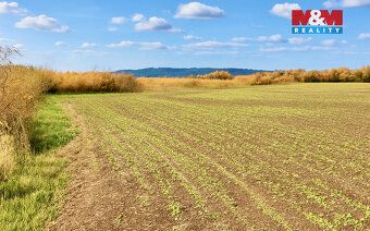 Nabízíme Vám ke koupi ornou půdu o celkové výměře 9215 m², k