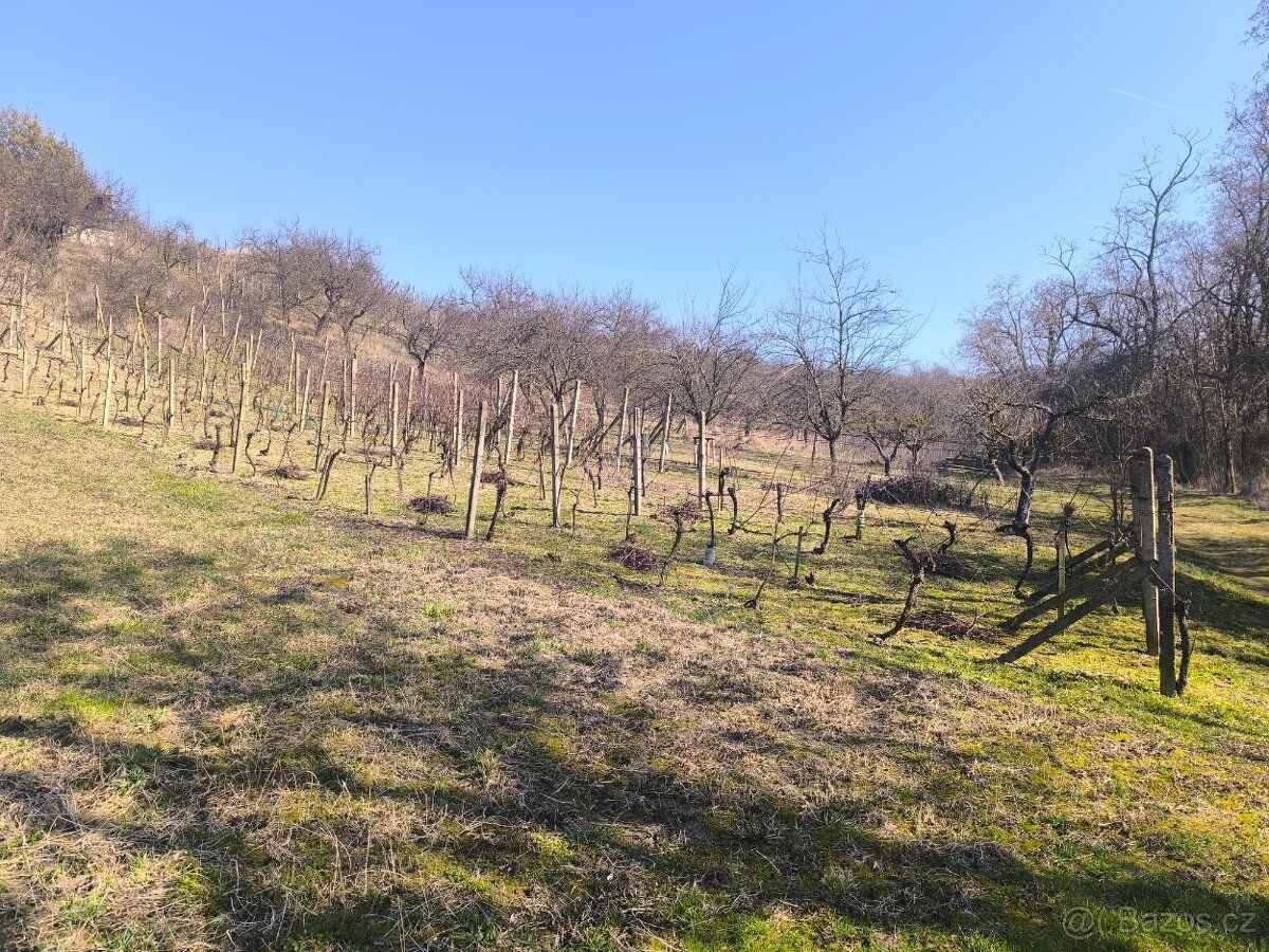 Nabízím k pronájmu rekreační pozemek o výměře cca 1 400 m² v