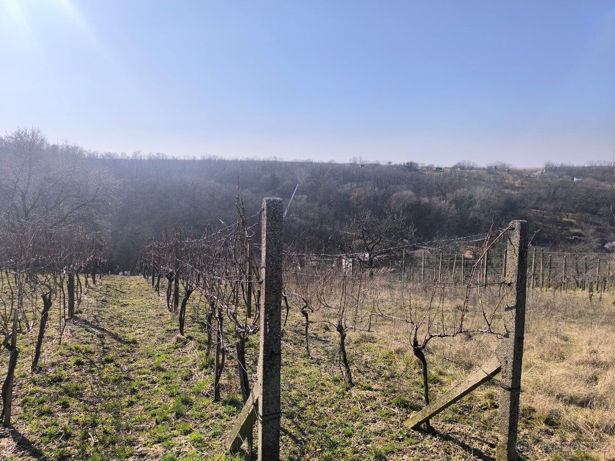 Nabízím k pronájmu rekreační pozemek o výměře cca 1 400 m² v