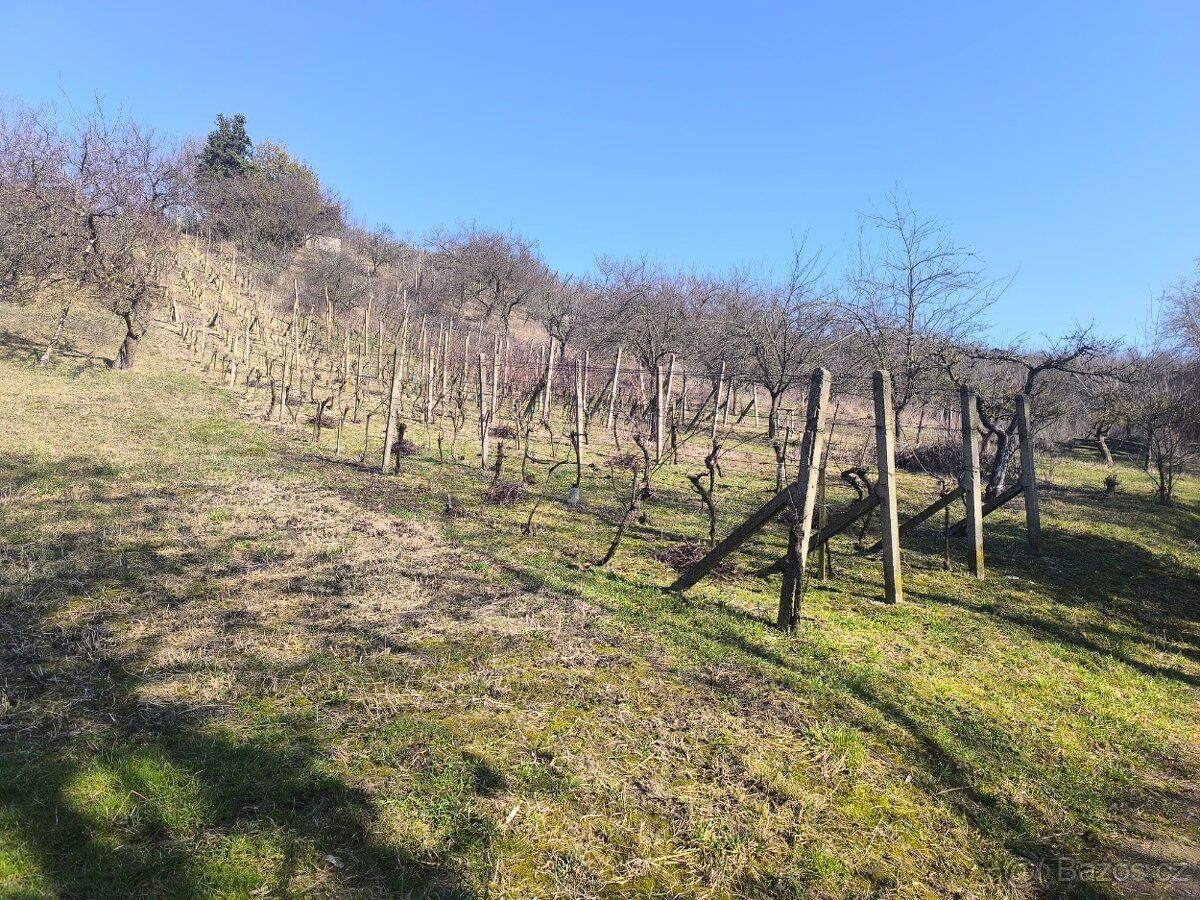 Nabízím k pronájmu rekreační pozemek o výměře cca 1 400 m² v