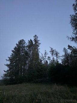Prodám dva st.pozemky v Boru u Skutče.Celková výměra 1807m2,