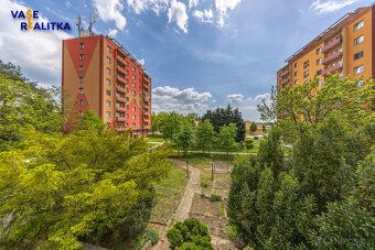 Nabízíme k pronájmu byt 1+kk (25m2), na ulici Osecká v Lipní