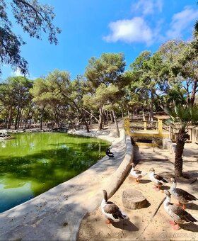 🇪🇸☀️ PRONÁJEM STYLOVÉ VILY NA COSTA BLANCE 🌴 Casa Eden del S