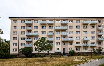 K dlouhodobému podnájmu nabízíme krásný, světlý byt po zdaři