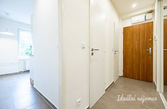 K dlouhodobému podnájmu nabízíme krásný, světlý byt po zdaři