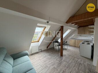 Pronájem bytu 1+1 o rozloze 52m2 v 1. patře cihlového domu n