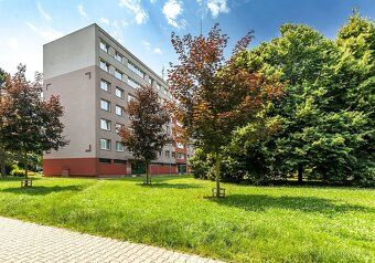 BYT SNŮ PRO STUDENTY V PARDUBICÍCH – 10 MINUT OD UNIVERZITY!