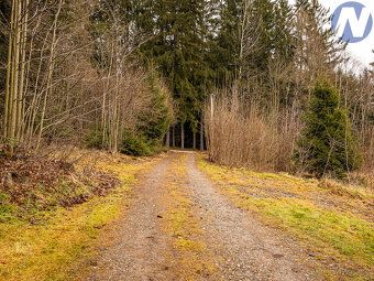 Nabízím ke koupi dům na Šumavě s 2 bytovými jednotkami (235 