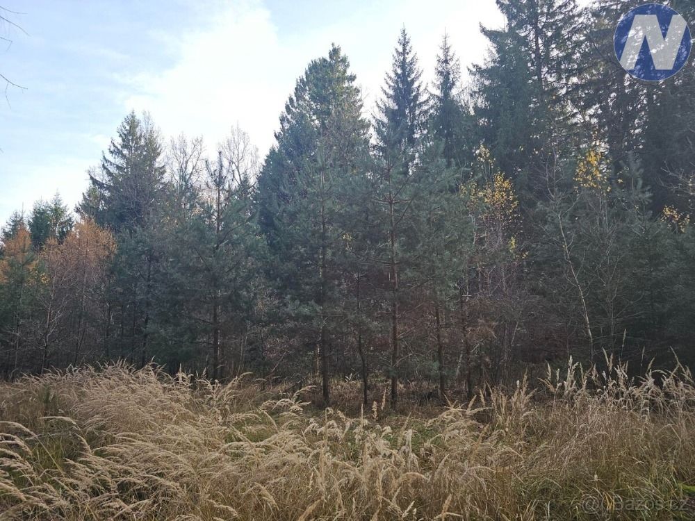 Prodej lesního pozemku v k.ú. Trocnov, okr. České Budějovice