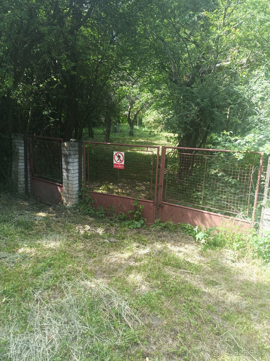Dobrý den, pronajmu zahradu v blízkosti řeky Moravy kousek o