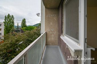 Nabízíme k pronájmu světlý a prakticky řešený byt o dispozic