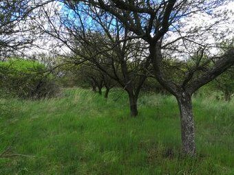 Prodám stavební pozemek o výměře 435m a 1279m zahrada. Na po