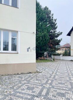 Nabízíme k pronájmu zrekonstruovaný obchodní prostor, 2+1, 6