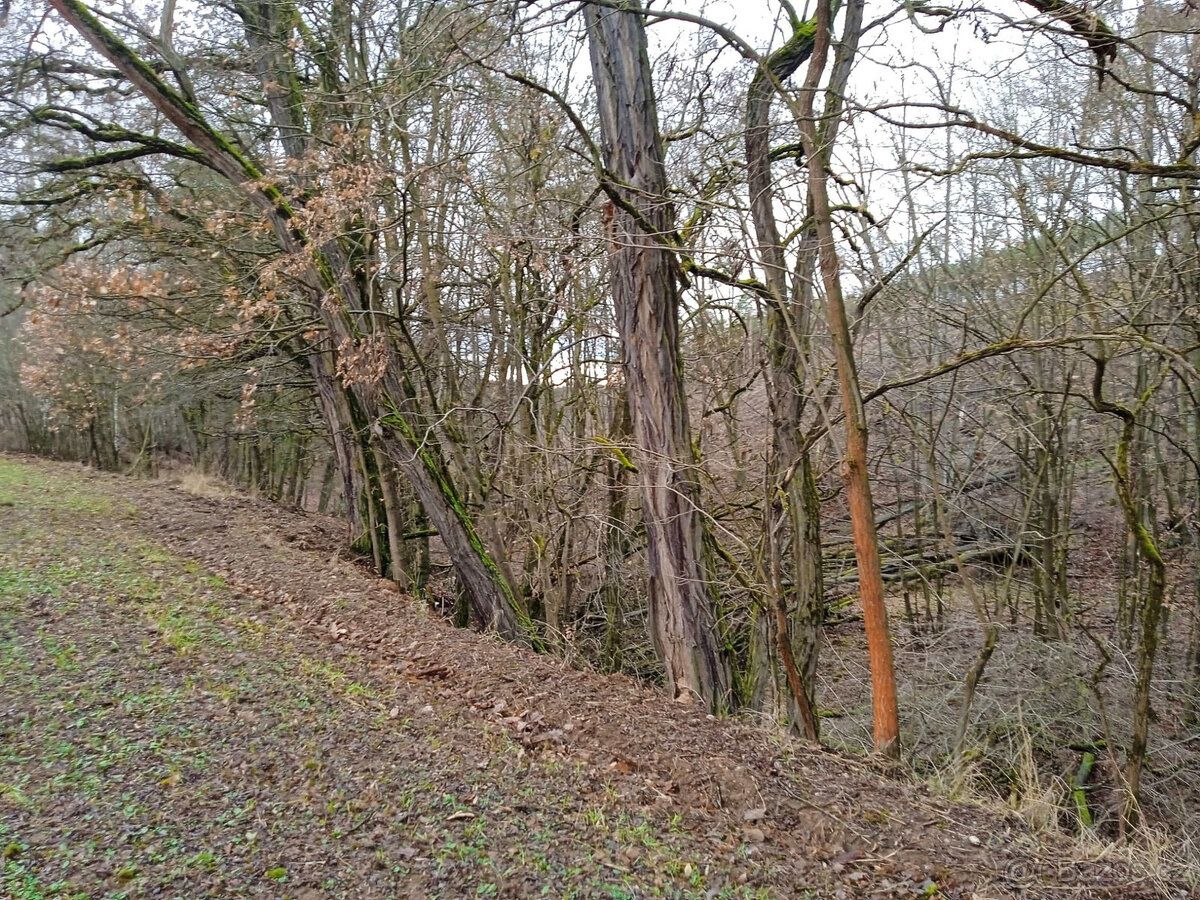 Na prodej pozemek - ostatní plocha (neplodná půda) o výměře 
