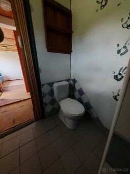 Pronajmu chatu v zahrádkářské kolonii (obytná plocha cca 40m