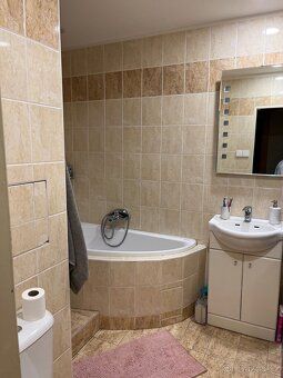 Nabízím k pronájmu prostorný a plně vybavený byt 2+1 o velik