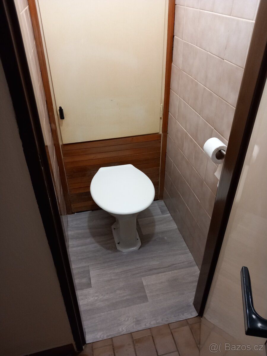 Nabízím k pronájmu byt 2+1 o výměře 54,10 m² podlahové ploch