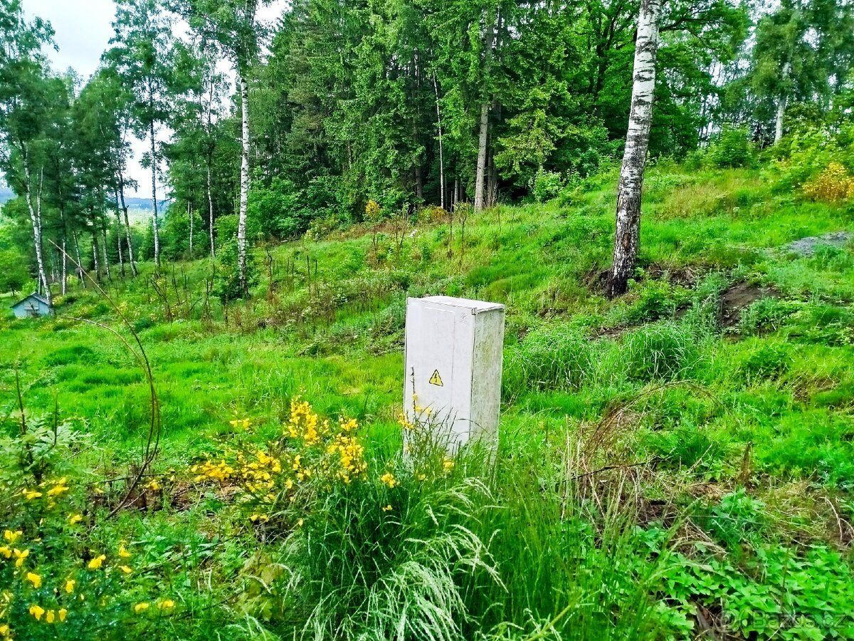 Prodám zahradu 723m2, 376/2 v obci Horní Němčice na rozhraní