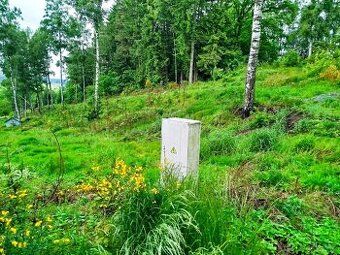 Prodám zahradu 723m2, 376/2 v obci Horní Němčice na rozhraní