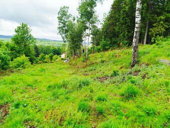 Prodám zahradu 723m2, 376/2 v obci Horní Němčice na rozhraní
