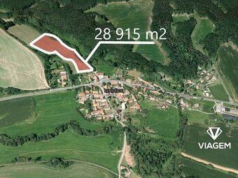 Láka Vás mít svůj vlastní les? Chcete mít 100% vlastnictví b