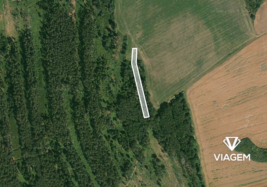 Láka Vás mít svůj vlastní les? Chcete mít 100% vlastnictví b